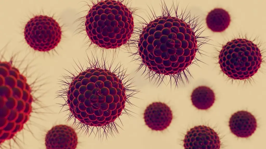 A detailed microscopic view of abnormal lymphoblast cells, the hallmark of Acute Lymphoblastic Leukemia (ALL). The cells are large with a high nucleus-to-cytoplasm ratio, irregular nuclear contours, and dense chromatin patterns. Vibrant colors and sharp focus capture the malignant nature of these rapidly dividing immature cells, disrupting normal blood and marrow function. An eerie, clinical atmosphere with cool lighting and a dark, neutral background emphasizes the seriousness of this blood cancer. Precise, technical rendering in a high-resolution, zoomed-in perspective to illustrate the cellular pathology of ALL.