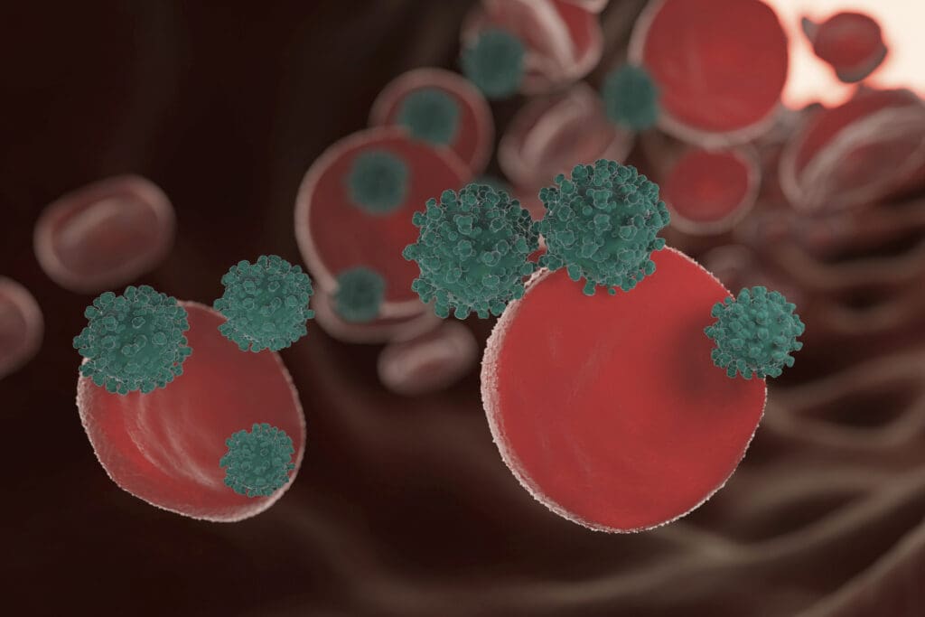 representation microorganisms concept 4 LIV Hospital