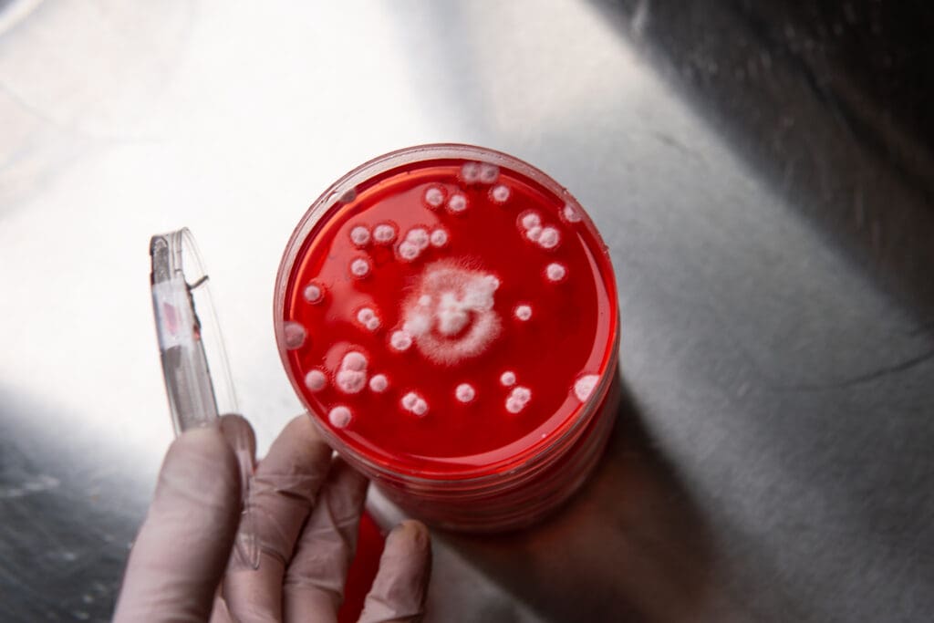 cropped hand person holding drink LIV Hospital