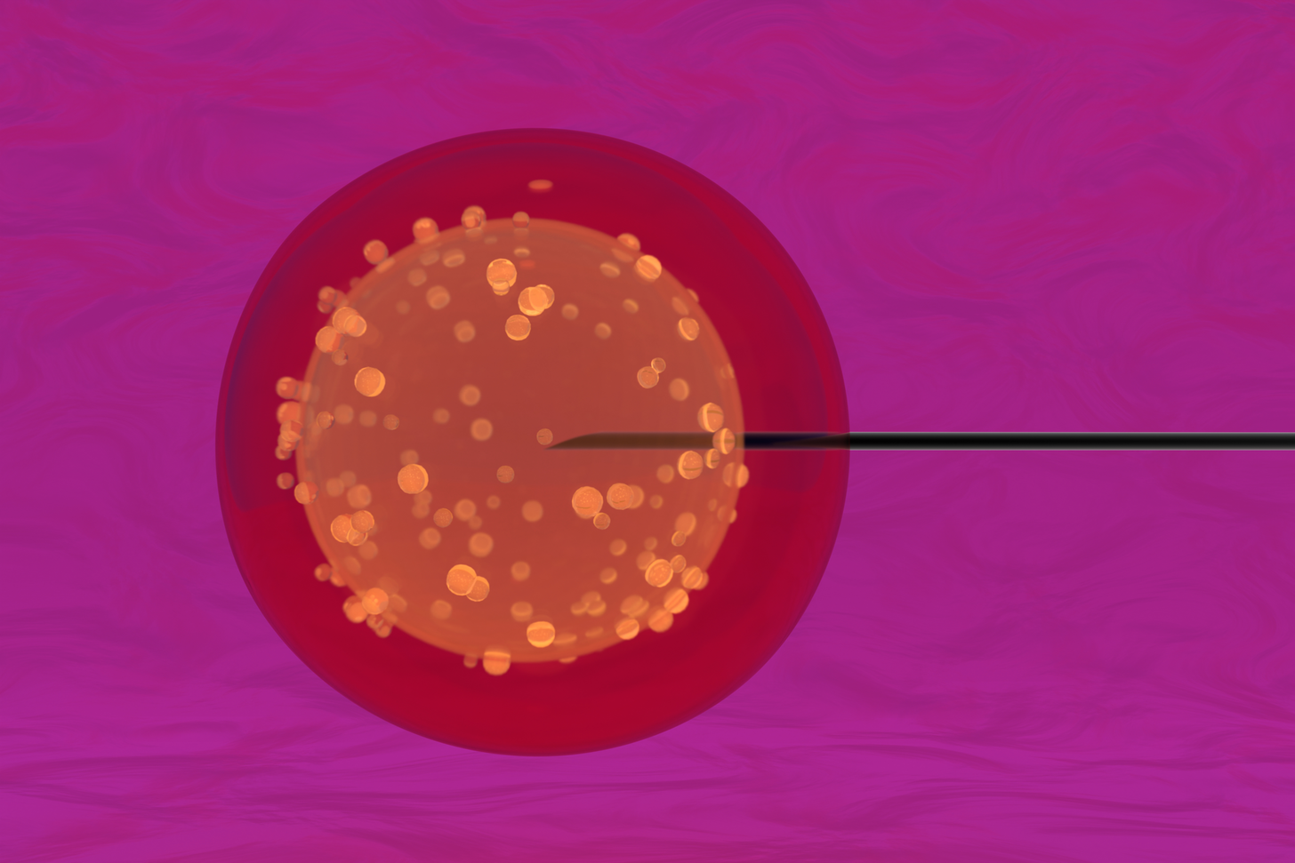 What Are Embryonic Stem Cells and How Are They Used in Research?