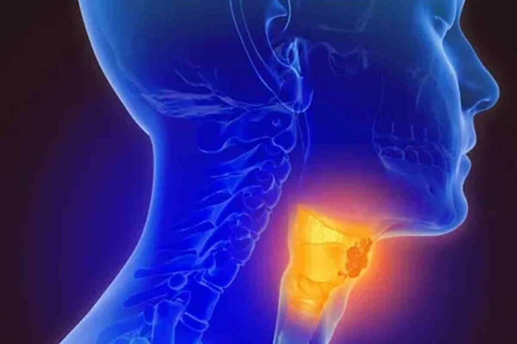 CT Scan Head and Neck Cancer: 7 Crucial Diagnostic Insights