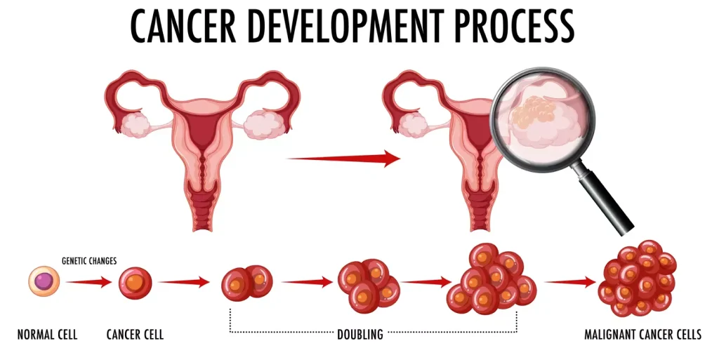 A detailed, high-resolution cross-section view of a fibroadenoma, a common benign breast tumor. The fibroadenoma appears as a well-defined, encapsulated mass with a smooth, rounded shape. The tumor is composed of glandular and stromal elements, with a dense, fibrous exterior and a soft, pliable interior. The image is rendered with a natural, clinical lighting setup that highlights the tumor's distinct features and texture. The background is a neutral, clean medical setting, allowing the fibroadenoma to be the central focus.