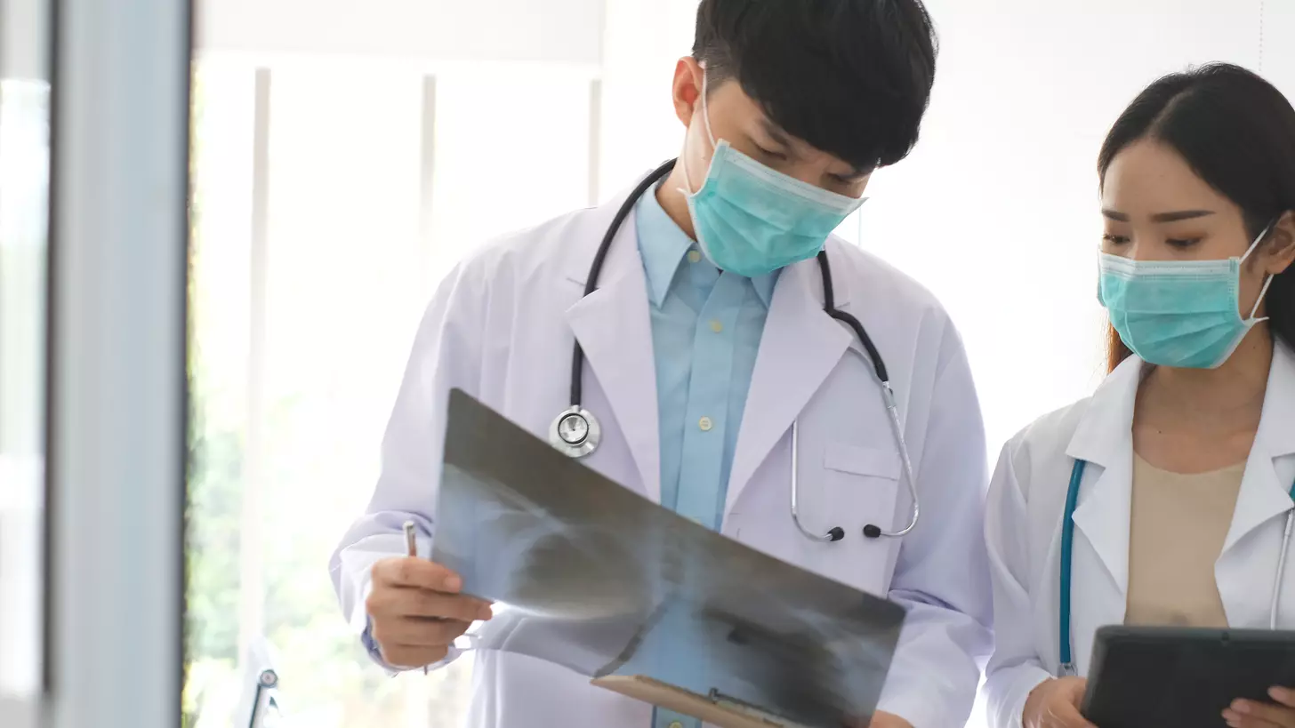 red bone marrow functions in the formation