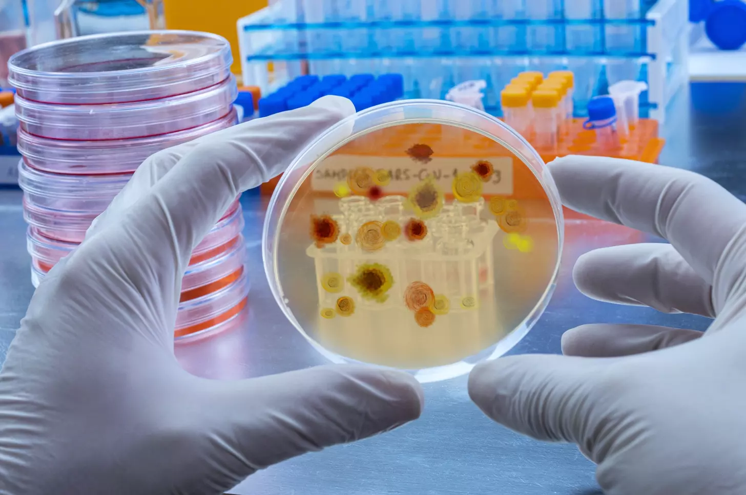 yellow bone marrow function