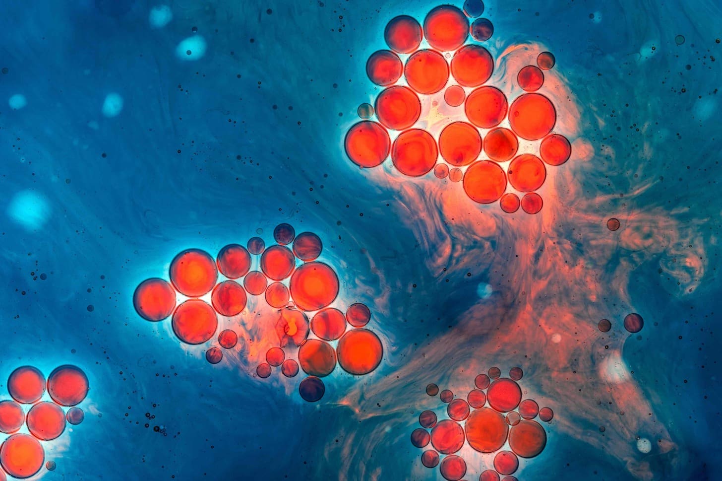 Where Are Hematopoietic Stem Cells Found and What Do They Do?