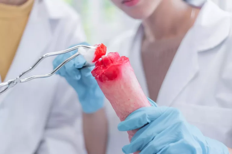 Where Is Red Bone Marrow Found and What Are the Two Types of Bone Marrow?