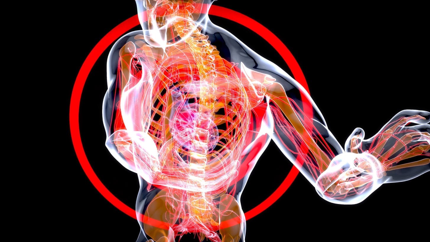 Where in the Body Are Hematopoietic Stem Cells Found and Why Are They Important? 1 Where in the Body Are Hematopoietic Stem Cells Found and Why Are They Important?