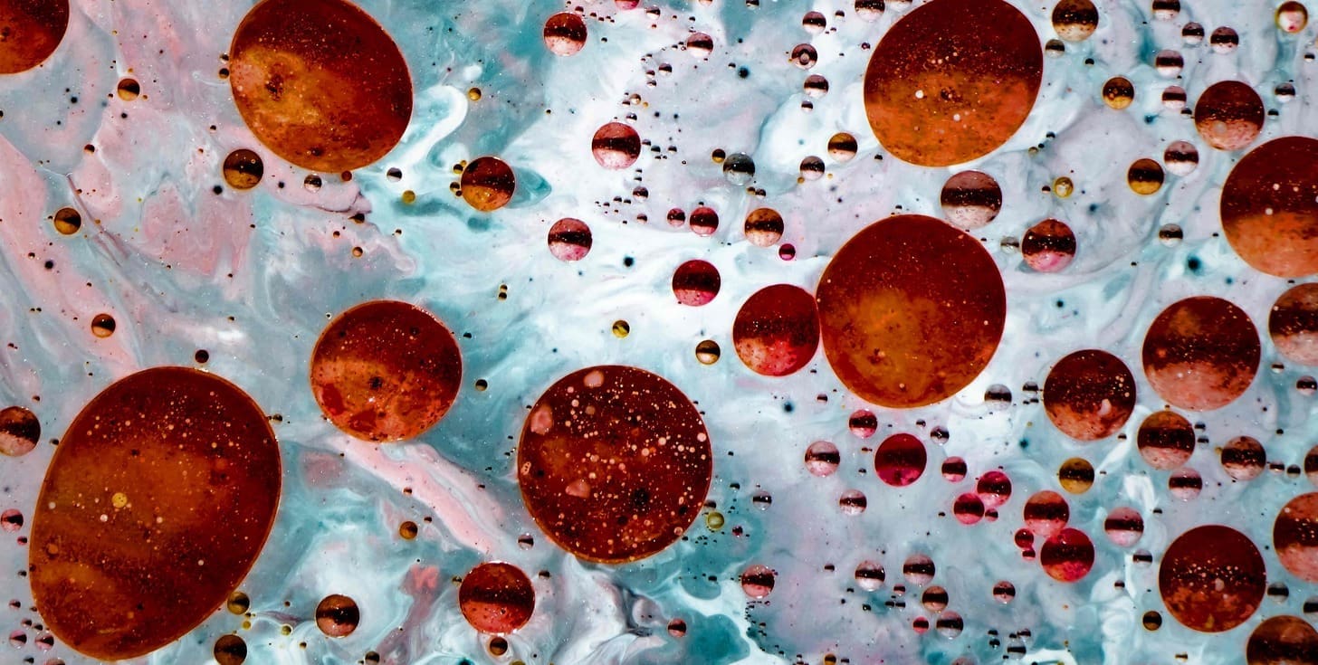 What Are Hematopoietic Stem Cells and Where Are They Found? 1 What Are Hematopoietic Stem Cells and Where Are They Found?