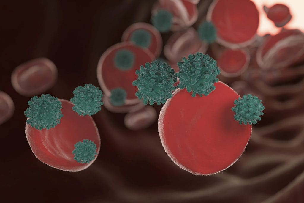 Defining Graft Versus Host