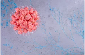 How to Increase Hemoglobin in MDS Patients?