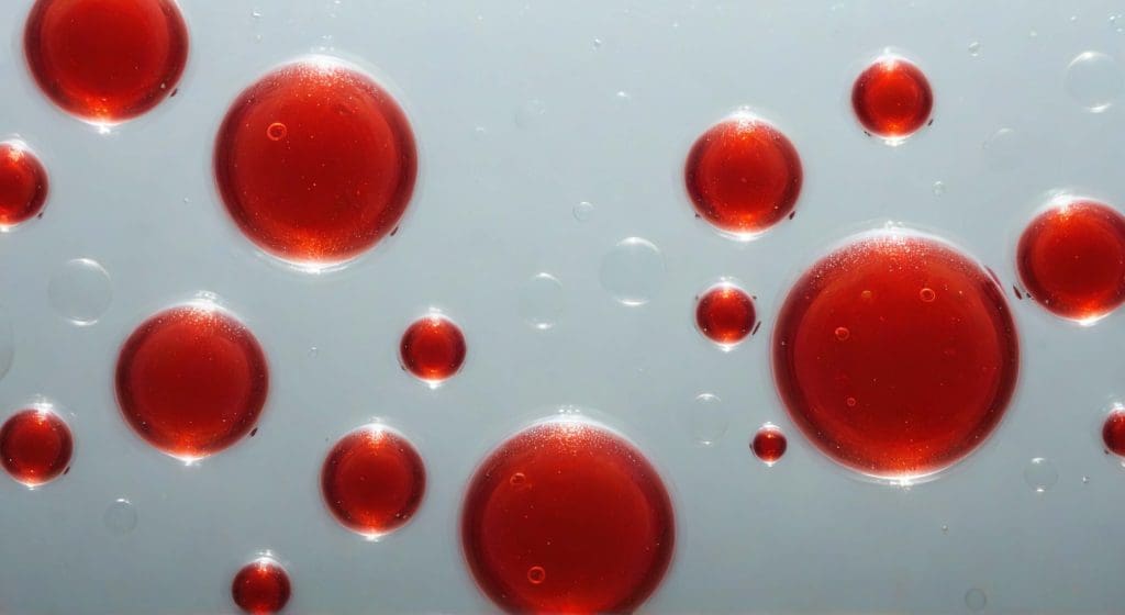 the intricate network of blood cells and stem cells