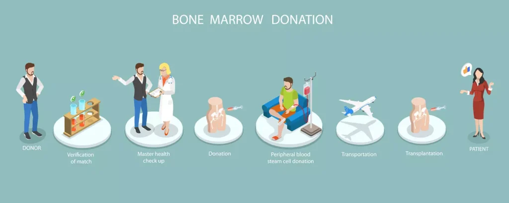 Bone marrow donation