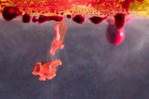 Cord Blood vs Cord Tissue: 7 Key Differences and Benefits at a Glance