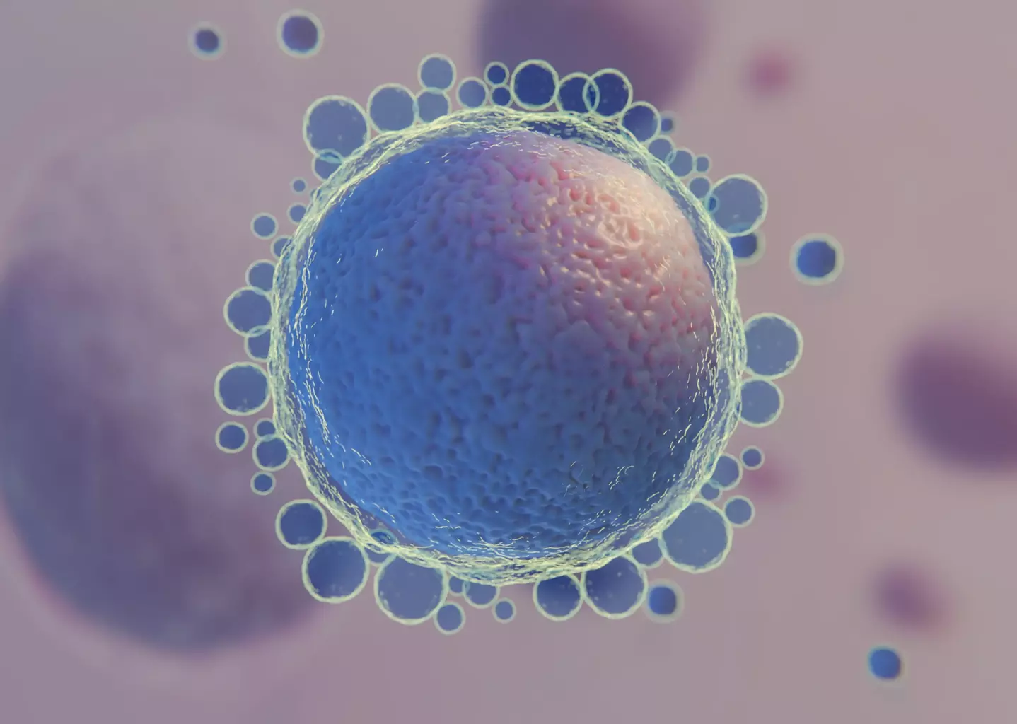 What Are Embryonic Stem Cells and How Are They Used in Research?
