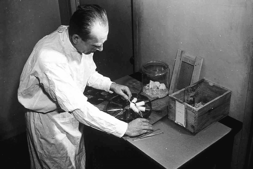 Study of Radiation: The Ultimate Essential Guide