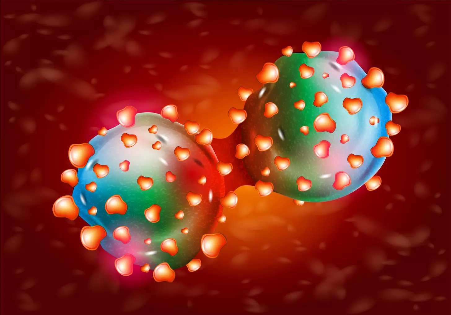 chimeric antigen receptor car t cells LIV Hospital