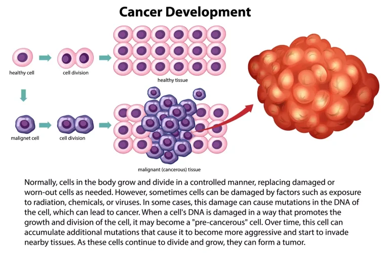 7 Key Facts About CAR T Lymphocytes and Chimeric Antigen Receptors