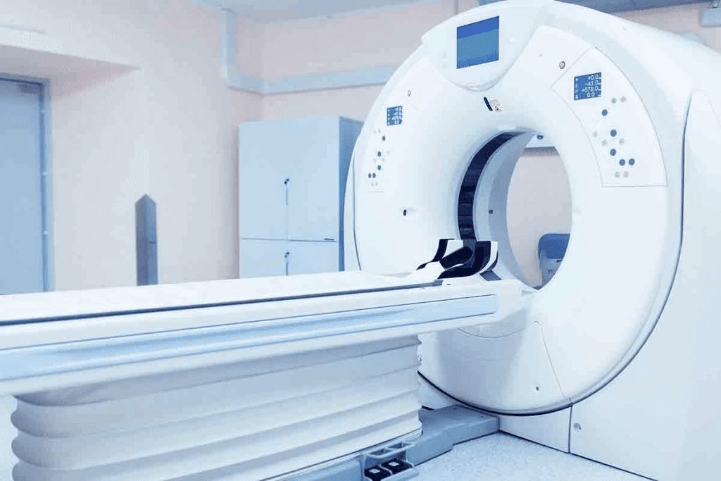 Cat CT: 7 Key Facts About CT Scans