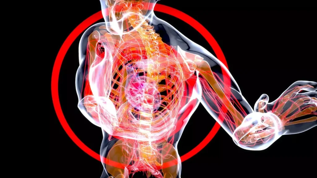 A detailed cross-section of the human body, showcasing the intricate structure of bone marrow. The scene is illuminated by soft, diffused lighting, casting gentle shadows and highlighting the delicate network of blood vessels and hematopoietic cells. The foreground features a magnified view of the bone marrow, revealing its spongy, myeloid-rich texture. The middle ground presents a wider perspective, exposing the bone's internal cavity and its surrounding cortical and cancellous bone structures. In the background, the skeletal framework provides context, emphasizing the integral role of bone marrow within the overall skeletal system. The image conveys a sense of scientific exploration, inviting the viewer to delve into the fundamental workings of this vital bodily component.