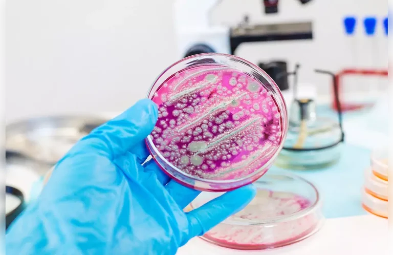 6 Key Facts About ASCT Stem Cell Transplant for Multiple Myeloma