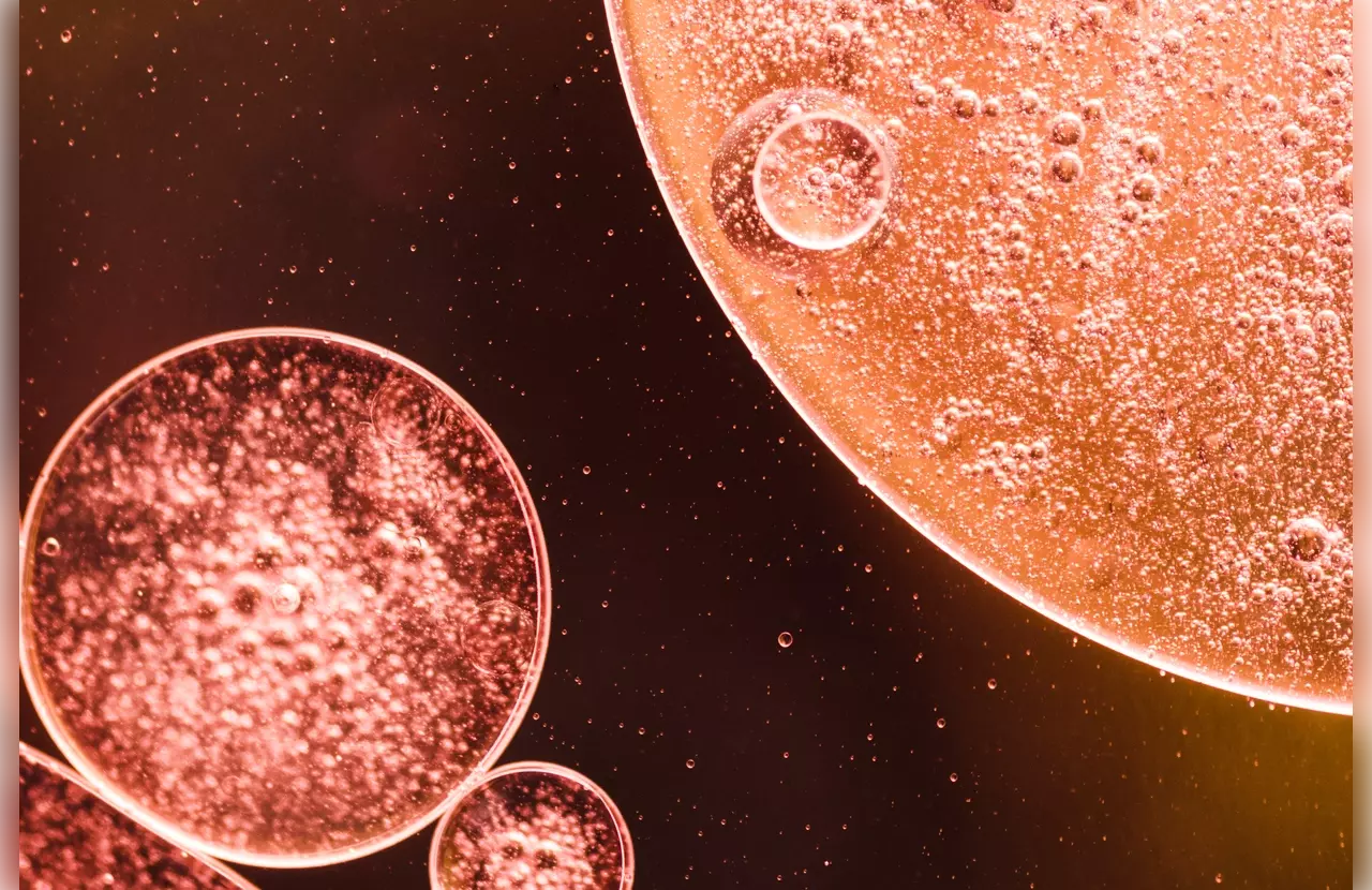 Stem Cell Regeneration Patch: 7 Must-Know FDA Approval Facts