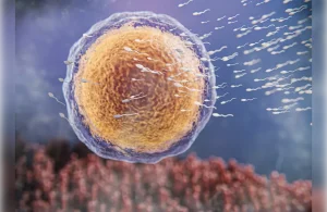 Stem Cell Activation Patch: FDA Approval Status, Safety, and Key Facts (2025)