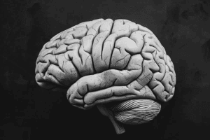 Can You Live with a Brain Tumor? Key Facts