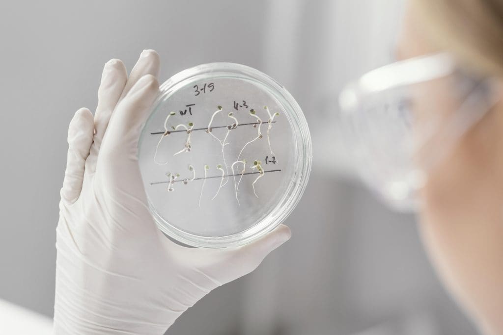 close up scientist holding petri dish LIV Hospital