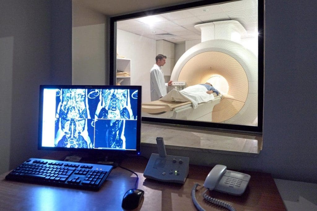 Nuc Med Bone Scan: What It Shows 3 image 68 LIV Hospital