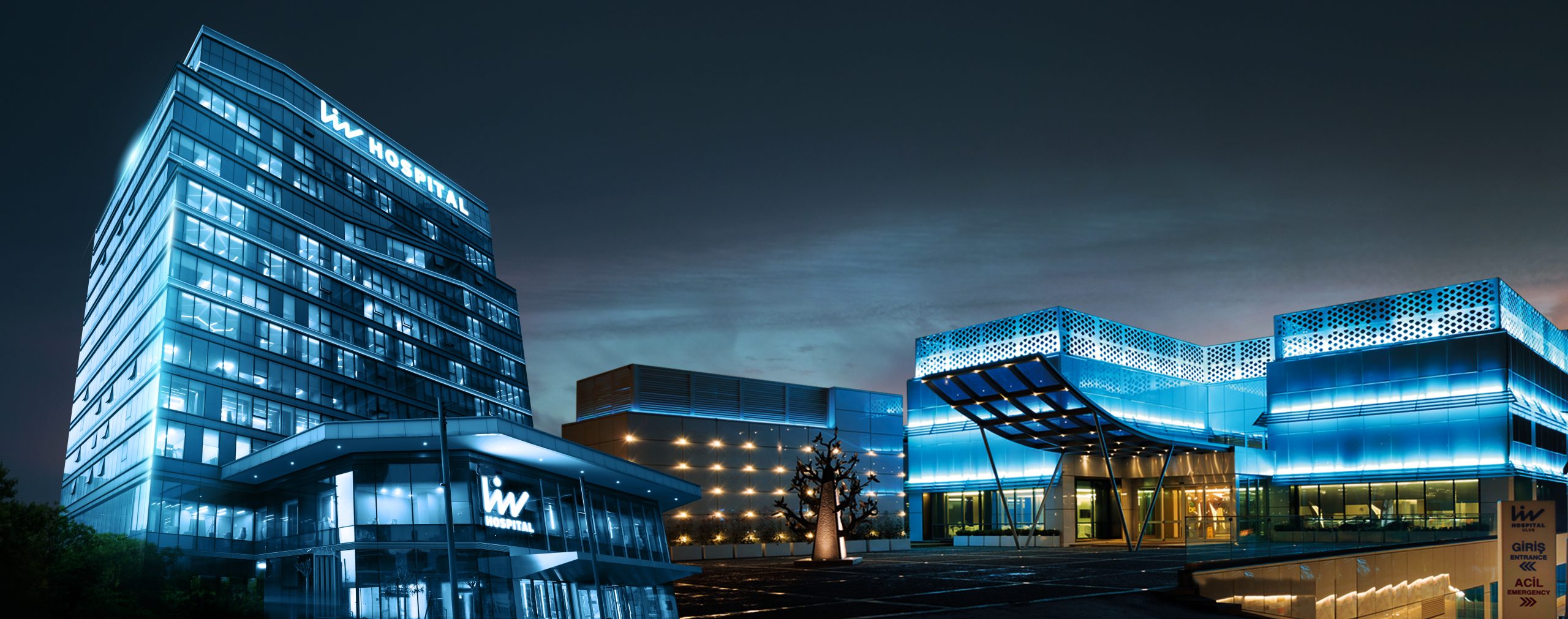 Vadi Ulus birarada scaled LIV Hospital