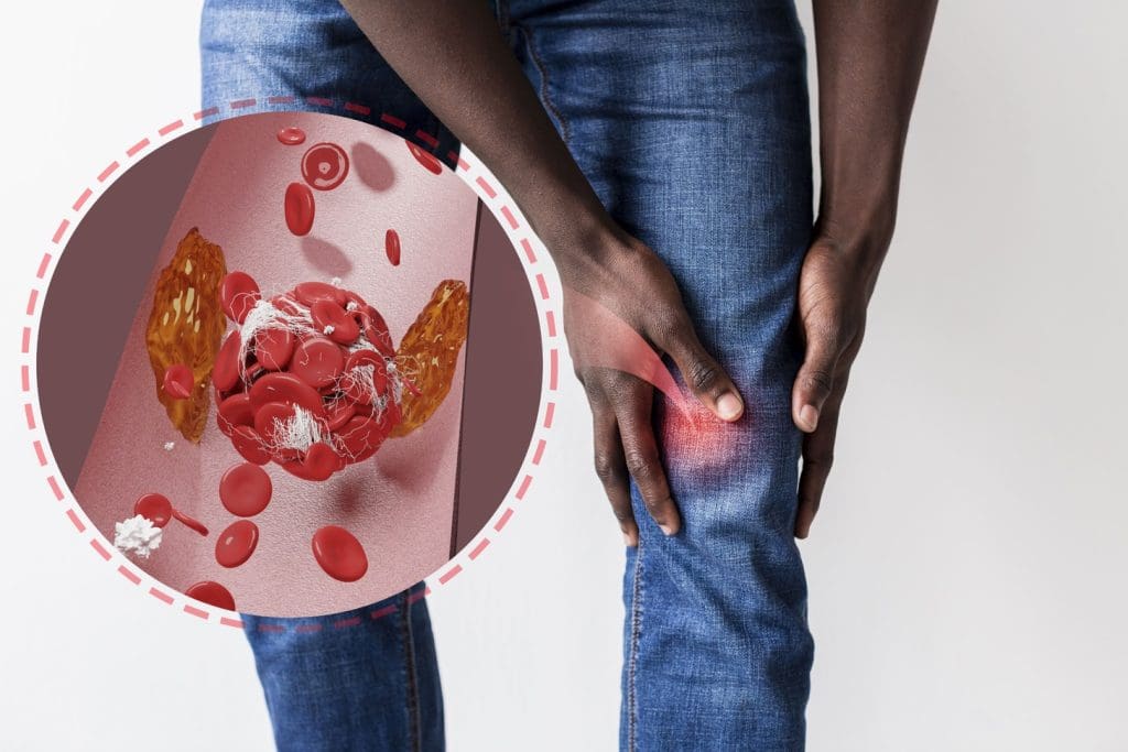 Bone Marrow in Blood Health