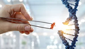 7 Key Facts About Allogeneic Therapy: Definitions, Types, and Applications