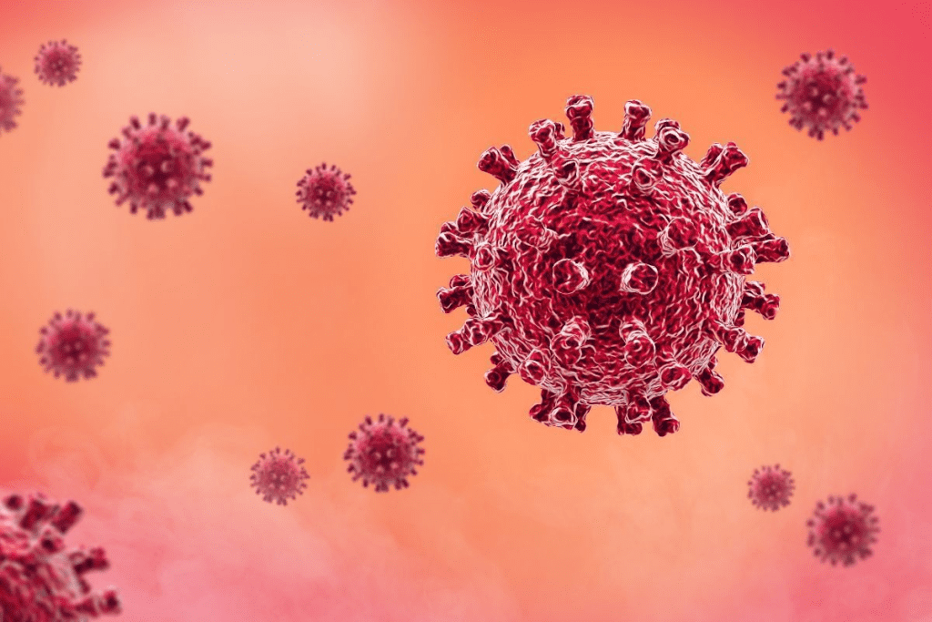 Neutrophils Normal Range: 5 Powerful Facts for Better Health 3 image 7124 LIV Hospital