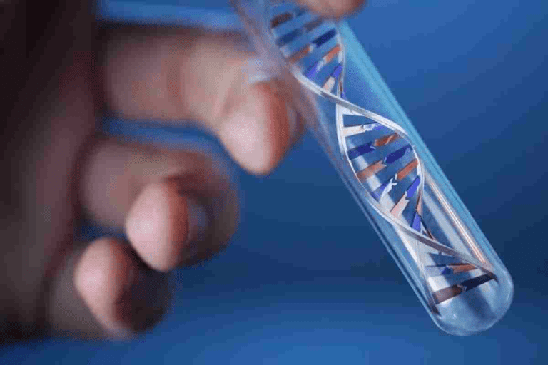 Neutrophils Normal Range: 5 Powerful Facts for Better Health