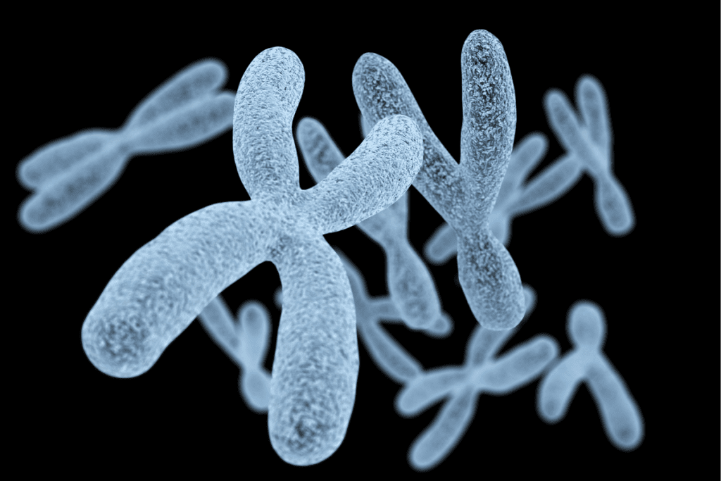 Miller Fisher Syndrome: Expert Rare Condition