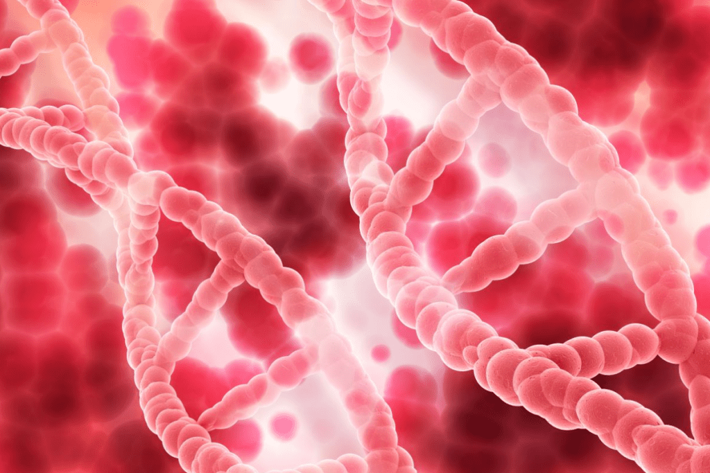 Lupus Anticoagulant: A Critical Patient Guide