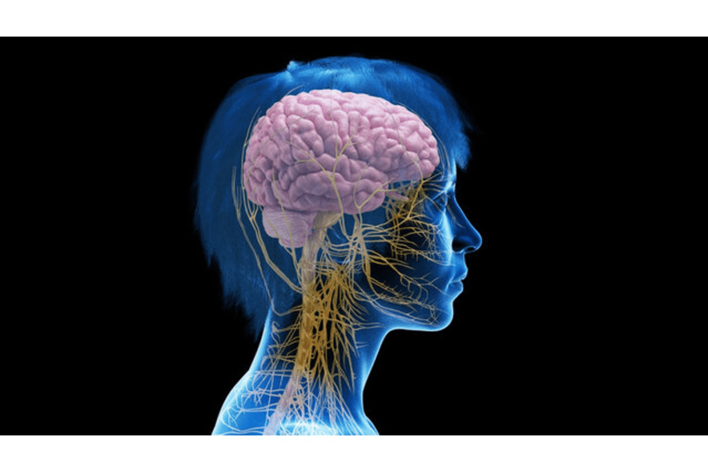 Erection During Prostate Exam: Awkward Fact