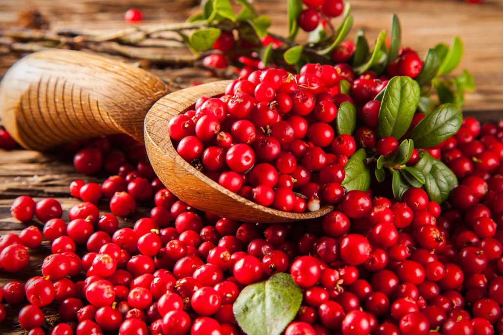 Bladder Irritants: The Ultimate Cranberry Guide