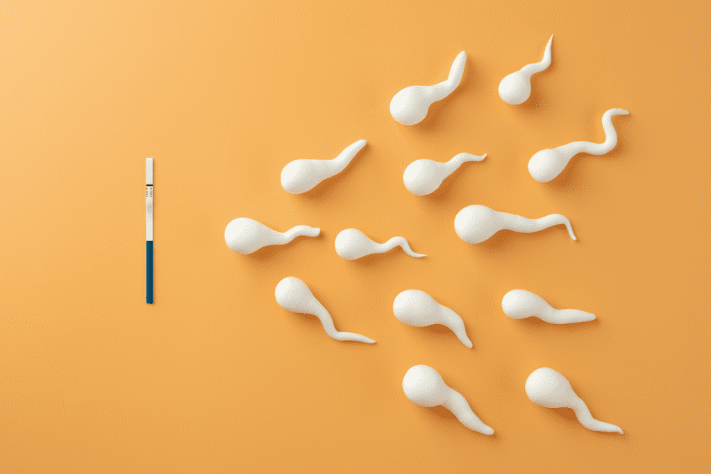 Vasectomy Reversal: Does Age Negative Affect Male Fertility? 3 Vasectomy Reversal: Does Age Negative Affect Male Fertility?
