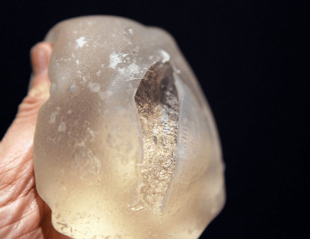 Penile Implant Removal: The Shocking Facts