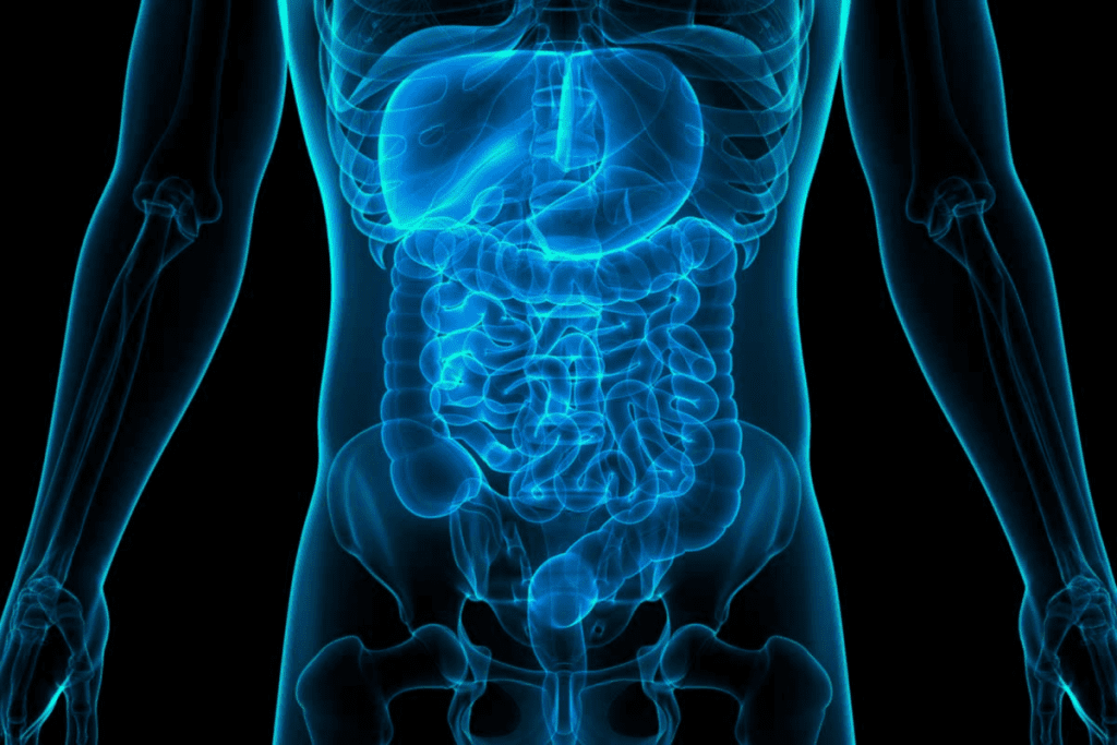 5 Essential Steps: The Diagnostic Process to Confirm Peyronie's Disease