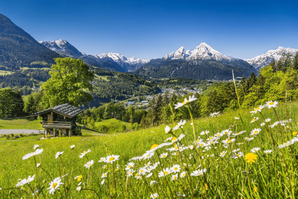 Over Survival: Positive Non-Life Threatening Cancers