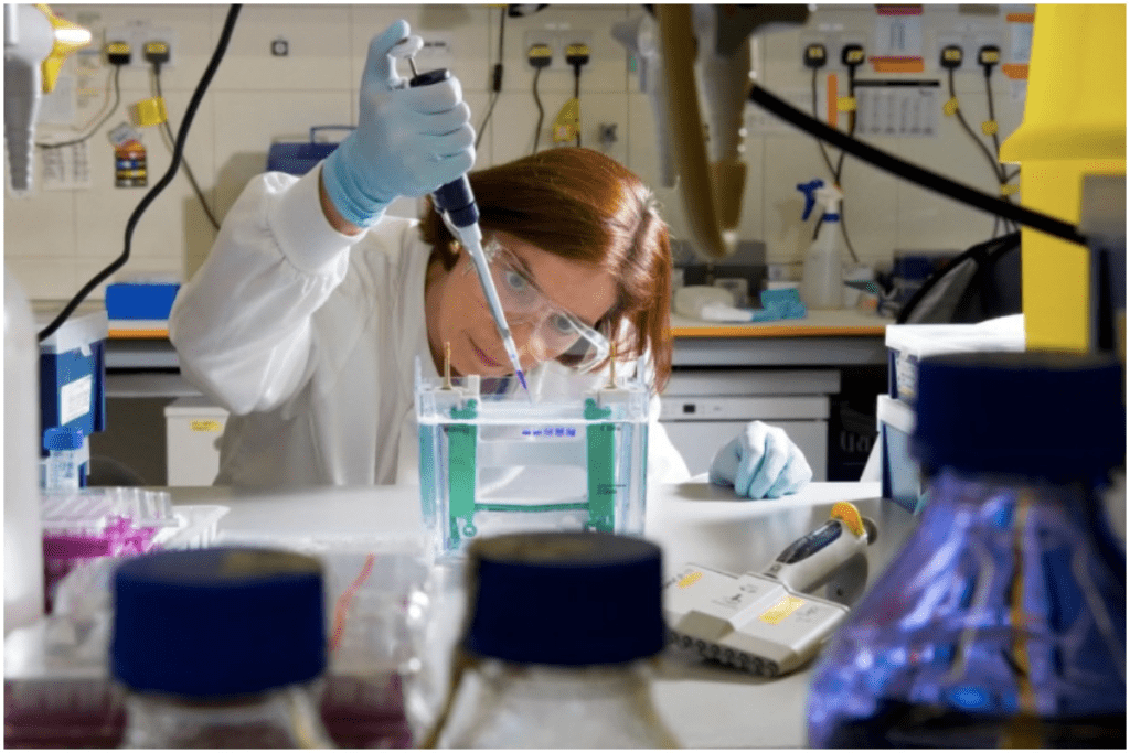 Malignant Definition: Negative Toughest Cancers to Beat