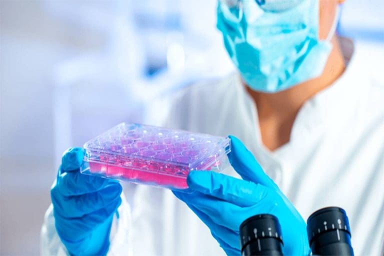 Recovery Time: How Long is protective isolation After Transplant?