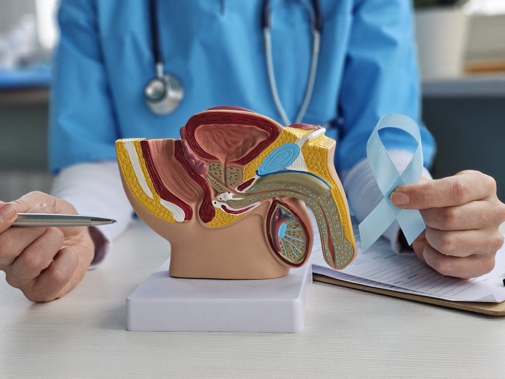 purpose of a man having a prostate