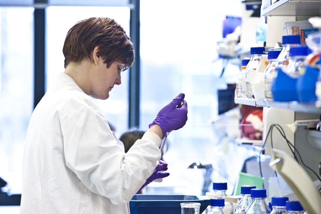 Do We Spend Enough on Cancer Research Funding? Promising Donation Facts

