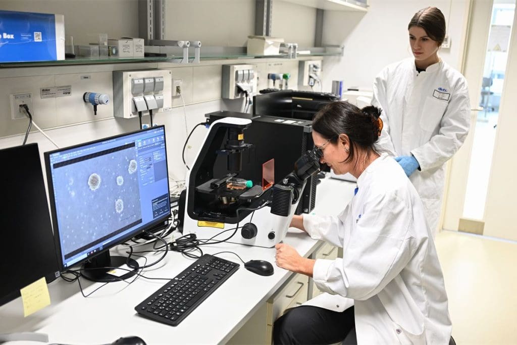 Malignant Definition Meaning in Tough Cancer Cases