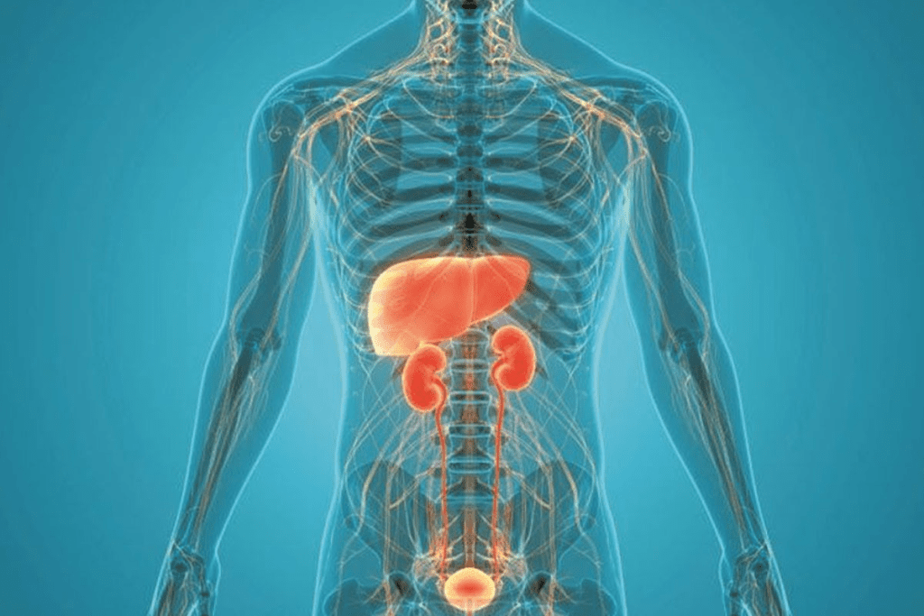 Top 7 Effective Detox Methods to Remove Chemo Toxins & How Does Chemo Work