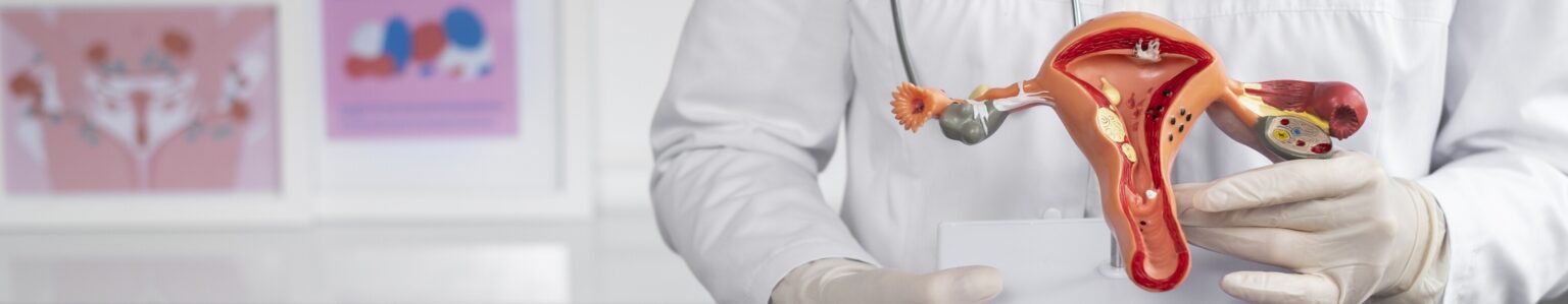 front view doctor holding anatomic model 2 LIV Hospital