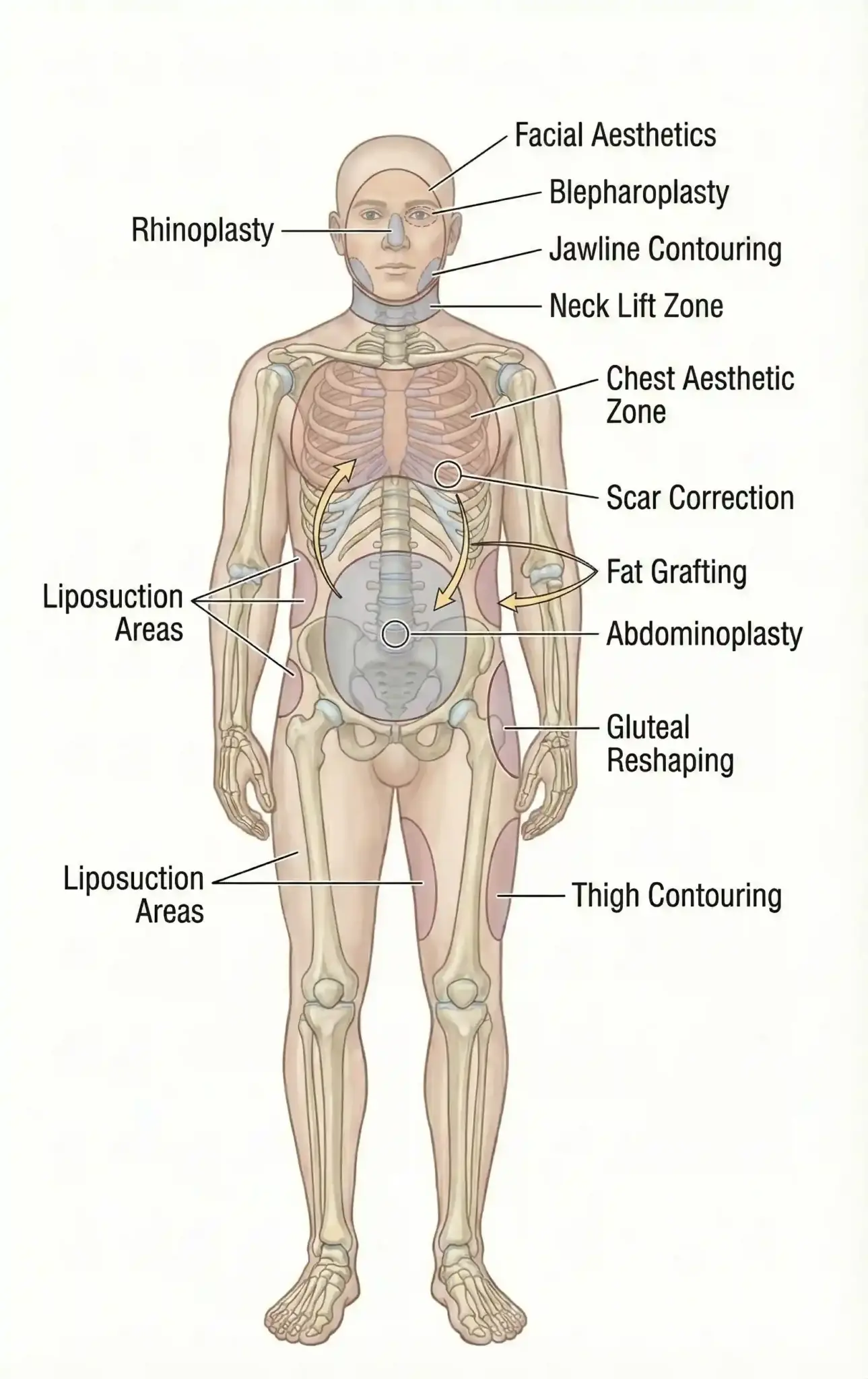 PLASTIC SURGERY scaled LIV Hospital